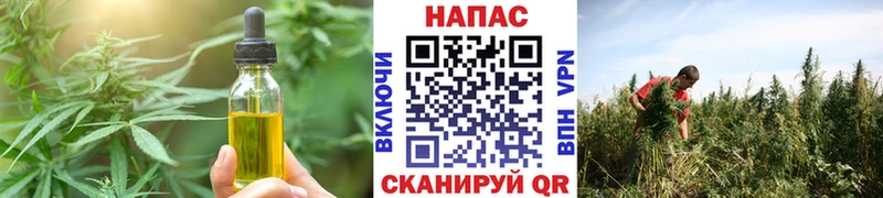Canna-Cookies марихуана  магазин    кракен ССЫЛКА  Дмитриев 