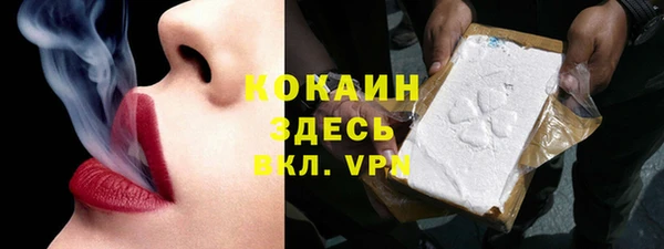 гидра Богданович