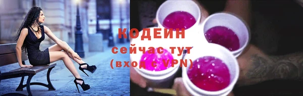 гидра Богданович