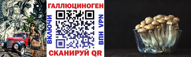 Галлюциногенные грибы GOLDEN TEACHER  Дмитриев 